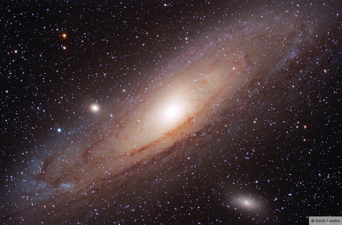 Www.samsung Galaxy M31